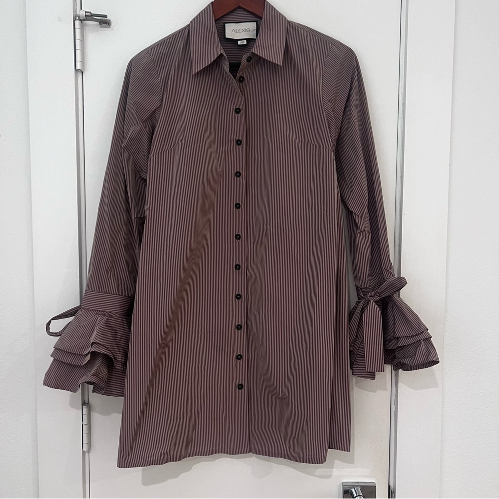 Alexis Karin Shirt Dress with Ruffle Sleeve